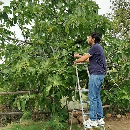 Casa In Casale Vicino Orvieto * Ficulle