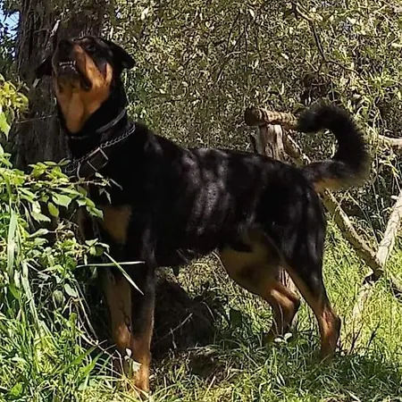 Сasa de vacaciones Casa In Casale Vicino Orvieto *