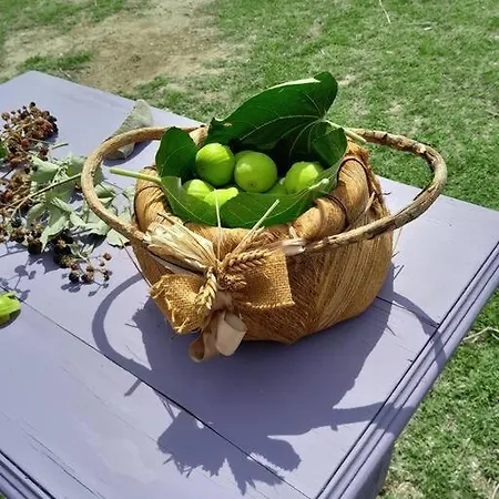 Casa In Casale Vicino Orvieto Ficulle