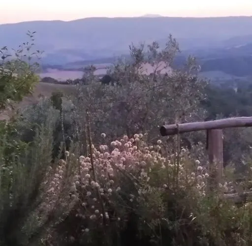 Casa In Casale Vicino Orvieto Dom wakacyjny