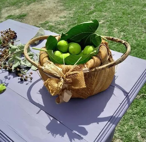 Casa In Casale Vicino Orvieto Ficulle